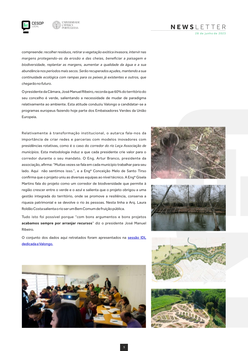 Newsletter da Rede CESOP-Local para os Territórios Sustentáveis