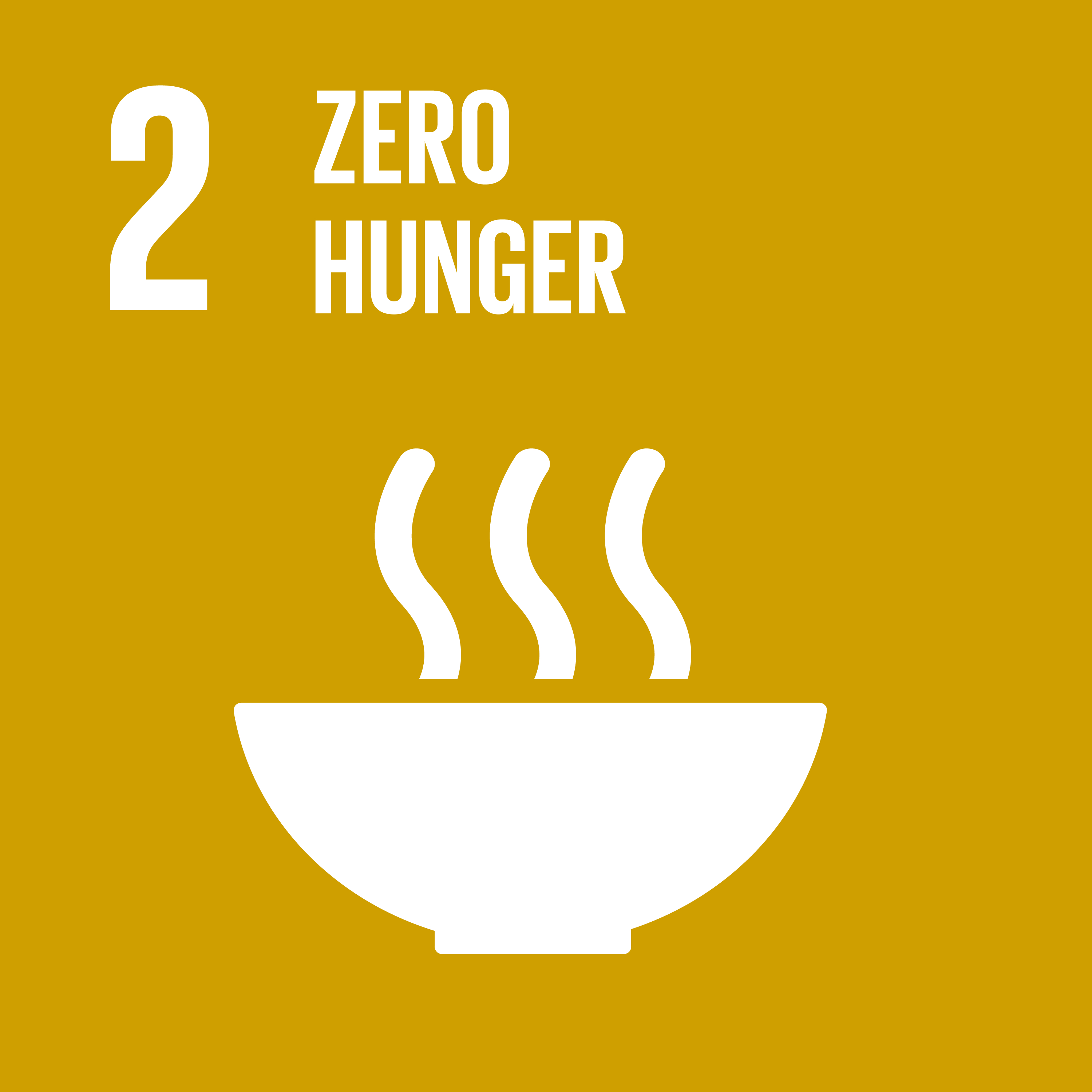 ODS2- Erradicar a fome