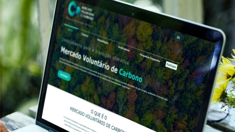 Portal do Mercado Voluntario de Carbono Português