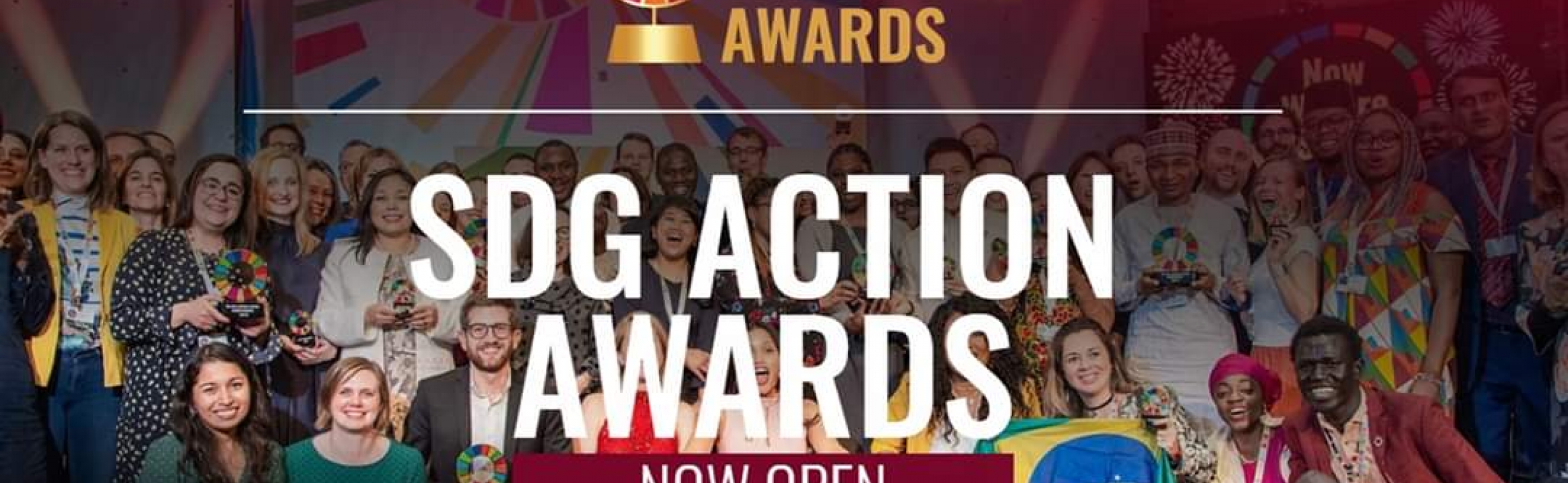 UN SDG Action Awards